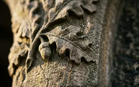 Extreme Makroaufnahme eines Materialdetails am Wahrzeichen Central Park New York in New York City USA - Foto: THN