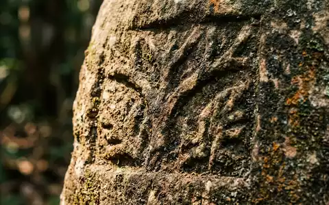 Extreme Makroaufnahme eines Materialdetails am Wahrzeichen Banco-Nationalpark in Abidjan Elfenbeinkuste, taktile Struktur und weiches Seitenlicht - Foto: THN