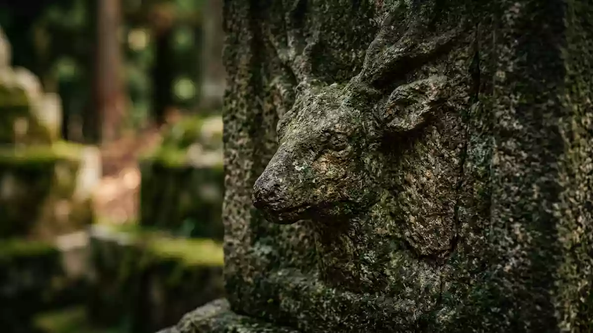 Makroaufnahme eines Materialdetails am Wahrzeichen Nara-Park, Nara Japan
