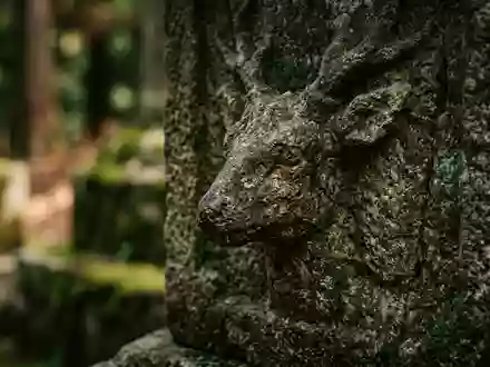 Extreme Makroaufnahme eines Materialdetails am Wahrzeichen Nara-Park in Nara Japan, taktile Struktur und weiches Seitenlicht - Foto: THN