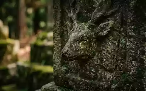 Extreme Makroaufnahme eines Materialdetails am Wahrzeichen Nara-Park in Nara Japan, taktile Struktur und weiches Seitenlicht - Foto: THN