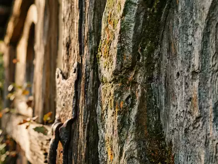 Extreme Makroaufnahme eines Materialdetails am Wahrzeichen Hobbiton Filmset in Matamata Neuseeland, taktile Struktur und weiches - Foto: THN