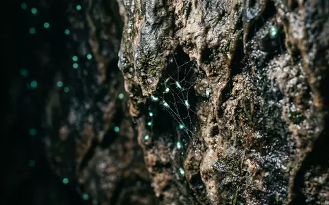 Extreme Makroaufnahme eines Materialdetails am Wahrzeichen Waitomo Glowworm Caves in Waitomo Neuseeland, taktile Struktur und - Foto: THN