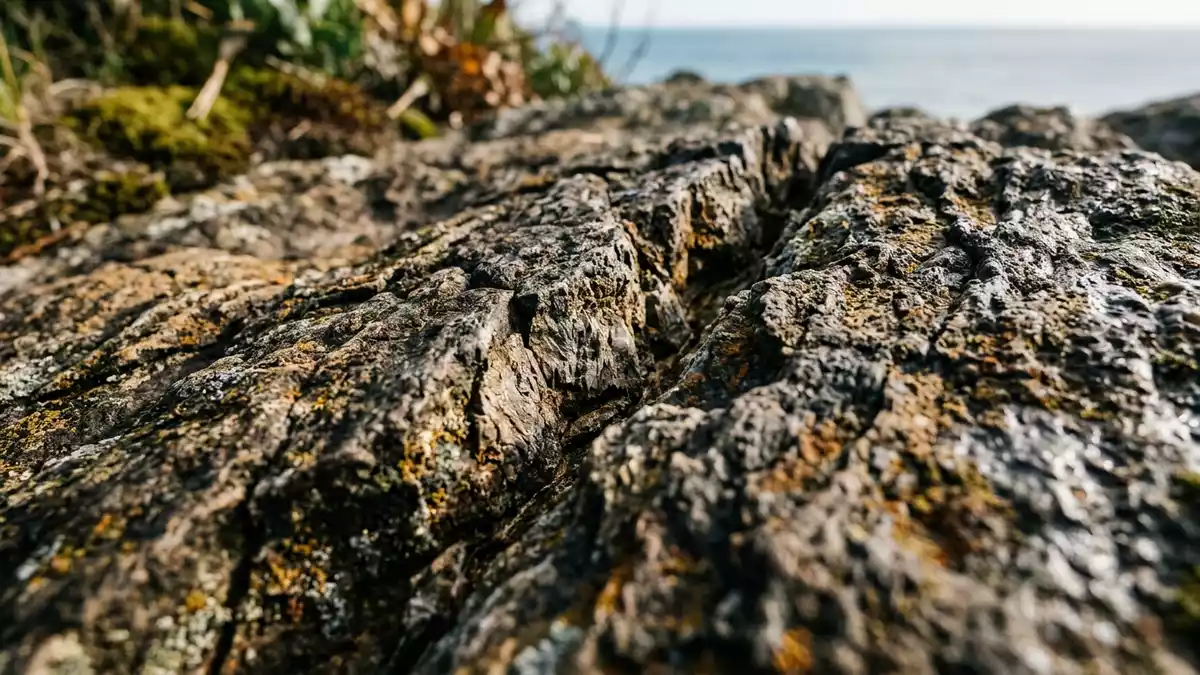 Makroaufnahme eines Materialdetails am Wahrzeichen Mount Maunganui, Tauranga Neuseeland