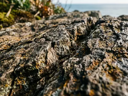 Extreme Makroaufnahme eines Materialdetails am Wahrzeichen Mount Maunganui in Tauranga Neuseeland, taktile Struktur und weiches - Foto: THN