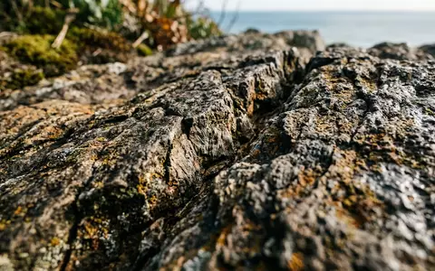 Extreme Makroaufnahme eines Materialdetails am Wahrzeichen Mount Maunganui in Tauranga Neuseeland, taktile Struktur und weiches - Foto: THN