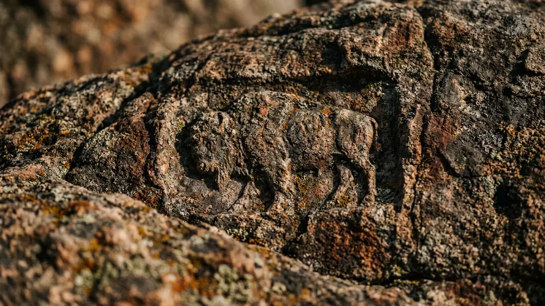 Makroaufnahme eines Materialdetails am Wahrzeichen Custer State Park, Custer USA