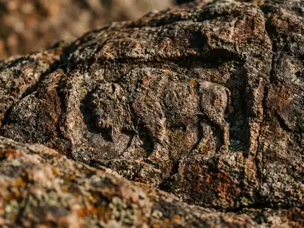 Extreme Makroaufnahme eines Materialdetails am Wahrzeichen Custer State Park in Custer USA, taktile Struktur und - Foto: THN