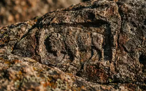 Extreme Makroaufnahme eines Materialdetails am Wahrzeichen Custer State Park in Custer USA, taktile Struktur und - Foto: THN