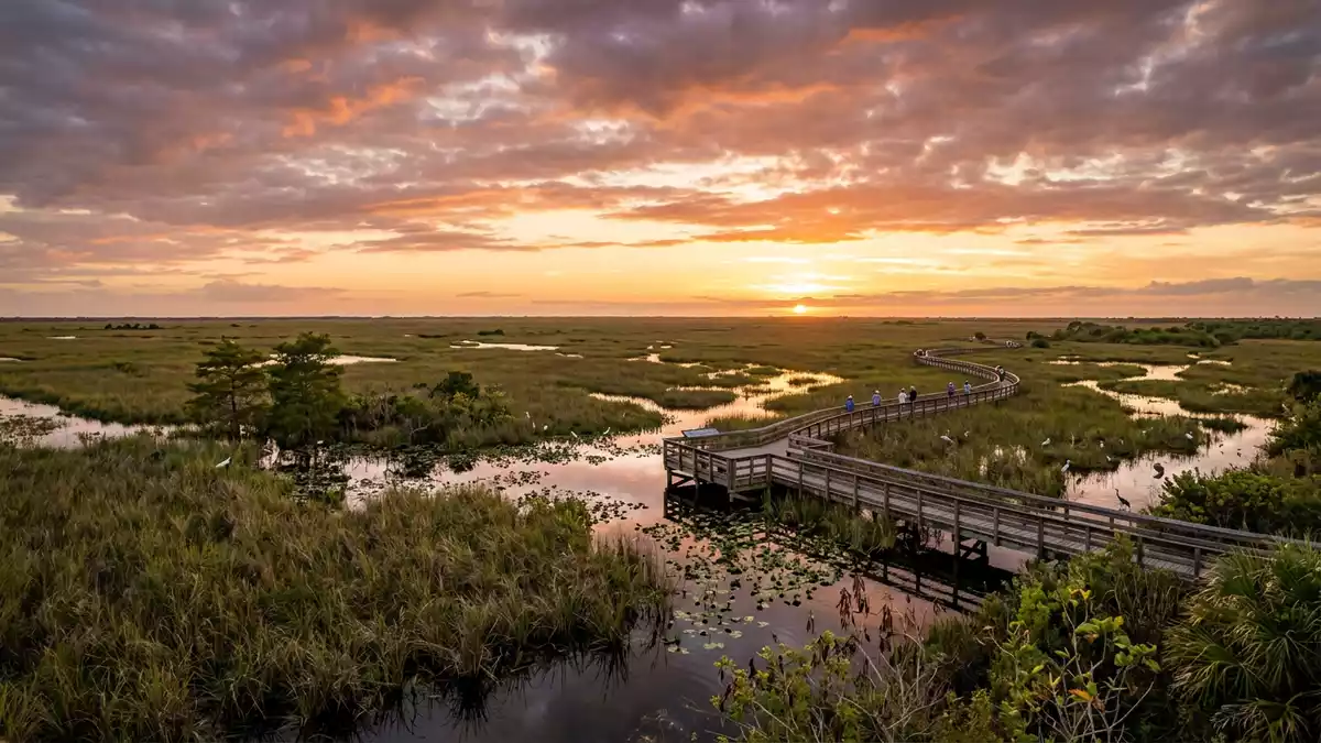 Fotorealistische Ansicht von Everglades-Nationalpark in Homestead, USA im Abendlicht