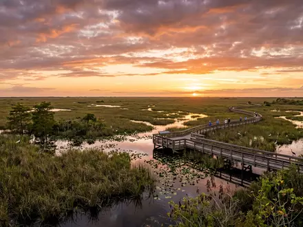 Fotorealistische Panoramaaufnahme von Everglades-Nationalpark in Homestead USA, warmes Abendlicht auf Wahrzeichen im Reisemotiv - Foto: THN