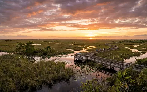 Fotorealistische Panoramaaufnahme von Everglades-Nationalpark in Homestead USA, warmes Abendlicht auf Wahrzeichen im Reisemotiv - Foto: THN