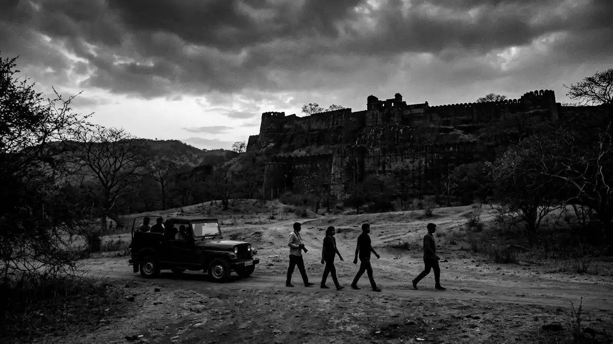 Schwarzweiss-Reportage vom Wahrzeichen Ranthambore-Nationalpark in Sawai Madhopur, Indien