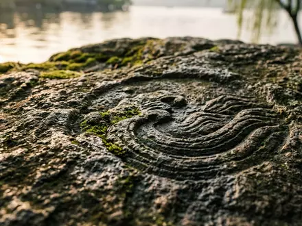 Extreme Makroaufnahme eines Materialdetails am Wahrzeichen Westsee Hangzhou in Hangzhou China, taktile Struktur und weiches - Foto: THN