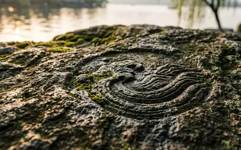 Extreme Makroaufnahme eines Materialdetails am Wahrzeichen Westsee Hangzhou in Hangzhou China, taktile Struktur und weiches - Foto: THN