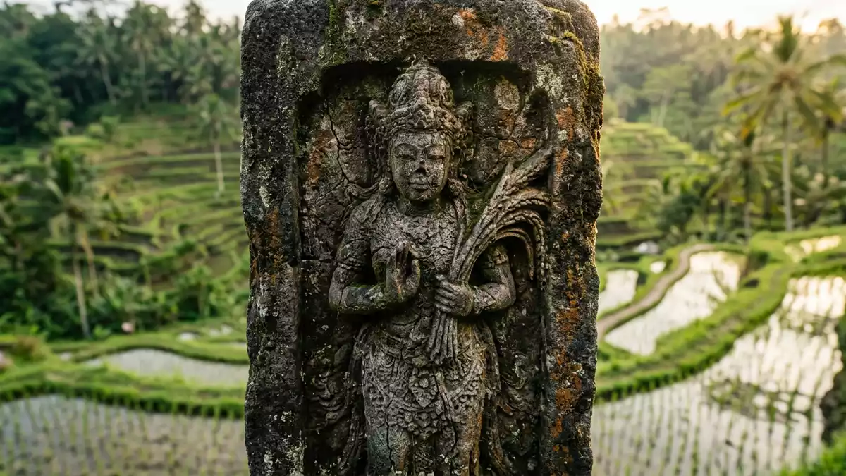 Makroaufnahme eines Materialdetails am Wahrzeichen Reisterrassen Tegallalang, Ubud Indonesien