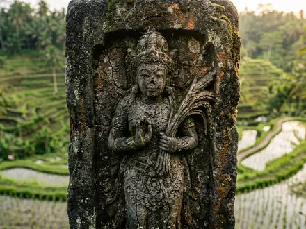 Extreme Makroaufnahme eines Materialdetails am Wahrzeichen Reisterrassen Tegallalang in Ubud Indonesien, taktile Struktur und weiches - Foto: THN