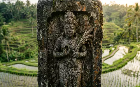 Extreme Makroaufnahme eines Materialdetails am Wahrzeichen Reisterrassen Tegallalang in Ubud Indonesien, taktile Struktur und weiches - Foto: THN