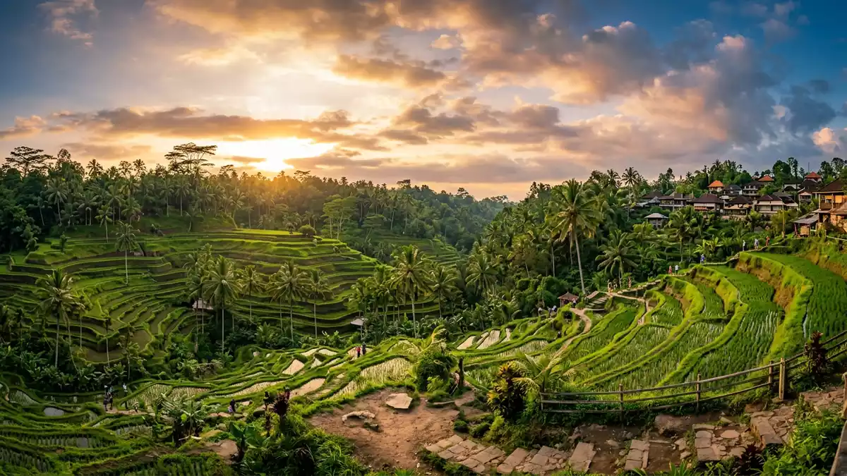 Fotorealistische Ansicht von Reisterrassen Tegallalang in Ubud, Indonesien im Abendlicht