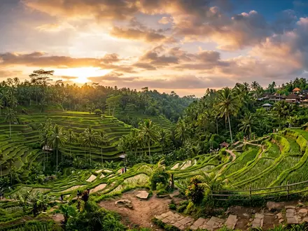 Fotorealistische Panoramaaufnahme von Reisterrassen Tegallalang in Ubud Indonesien, warmes Abendlicht auf Wahrzeichen - Foto: THN