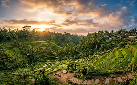 Fotorealistische Panoramaaufnahme von Reisterrassen Tegallalang in Ubud Indonesien, warmes Abendlicht auf Wahrzeichen - Foto: THN