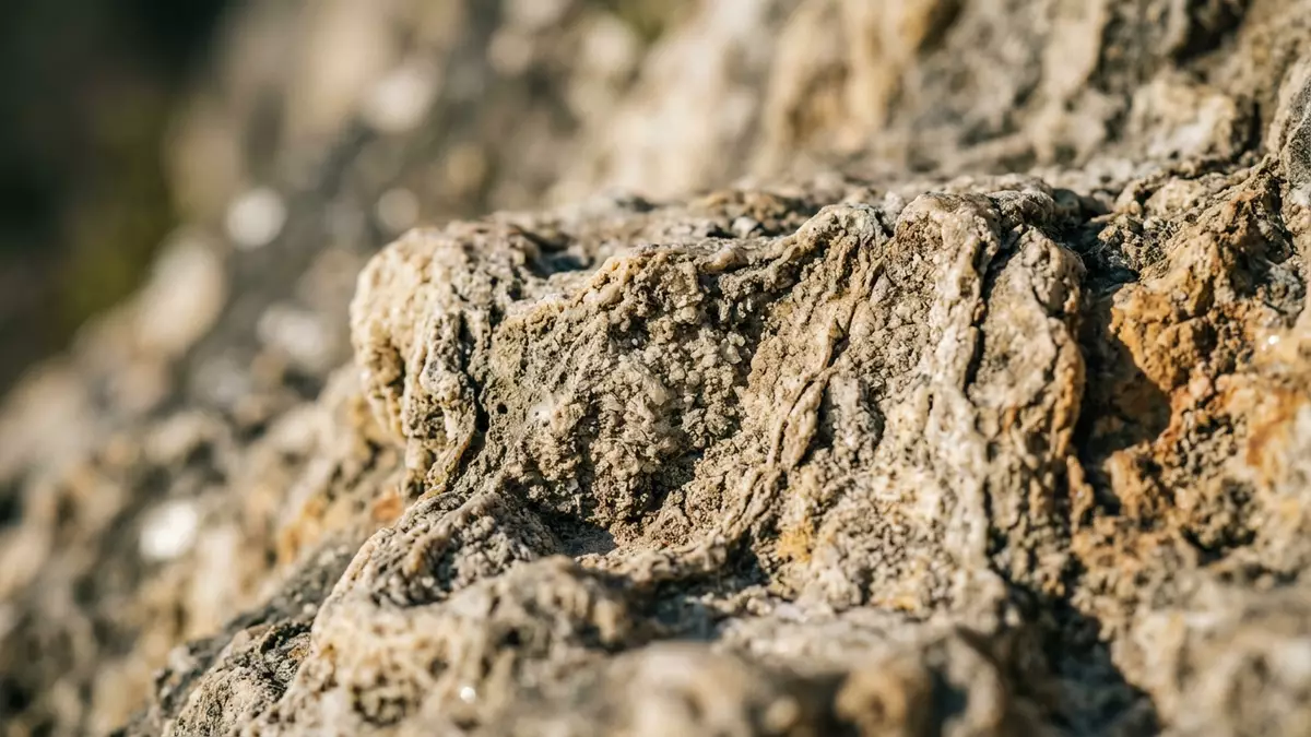 Makroaufnahme eines Materialdetails am Wahrzeichen Hierve el Agua, Oaxaca Mexiko