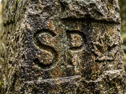 Extreme Makroaufnahme eines Materialdetails am Wahrzeichen Stanley Park Vancouver in Vancouver Kanada, taktile Struktur und - Foto: THN