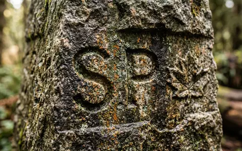 Extreme Makroaufnahme eines Materialdetails am Wahrzeichen Stanley Park Vancouver in Vancouver Kanada, taktile Struktur und - Foto: THN