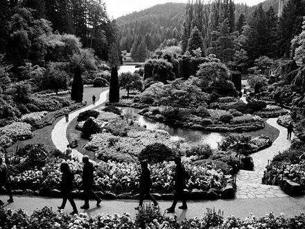 Schwarzweiss-Reportagebild vom Wahrzeichen Butchart Gardens in Brentwood Bay Kanada, dokumentarische Reisefotografie mit starken Kontrasten - Foto: THN