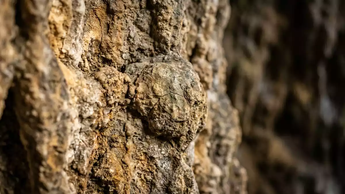 Makroaufnahme eines Materialdetails am Wahrzeichen Cueva de Nerja, Nerja Spanien