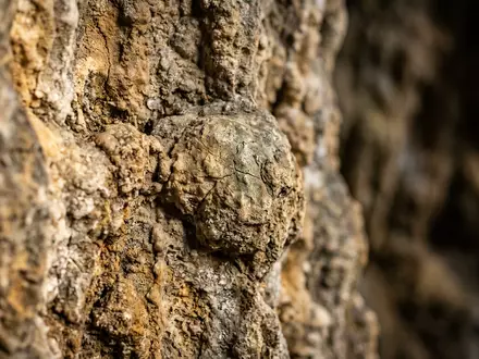 Extreme Makroaufnahme eines Materialdetails am Wahrzeichen Cueva de Nerja in Nerja Spanien, taktile Struktur und - Foto: THN