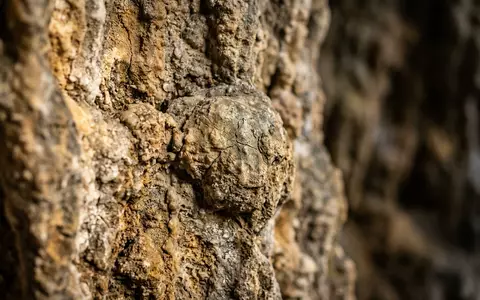 Extreme Makroaufnahme eines Materialdetails am Wahrzeichen Cueva de Nerja in Nerja Spanien, taktile Struktur und - Foto: THN