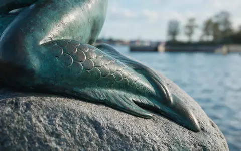 Extreme Makroaufnahme eines Materialdetails am Wahrzeichen Kleine Meerjungfrau Kopenhagen in Kopenhagen Dänemark, taktile Struktur und - Foto: THN