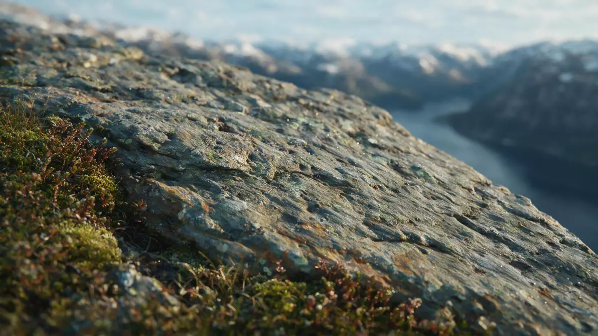 Makroaufnahme eines Materialdetails am Wahrzeichen Trolltunga, Ullensvang Norwegen