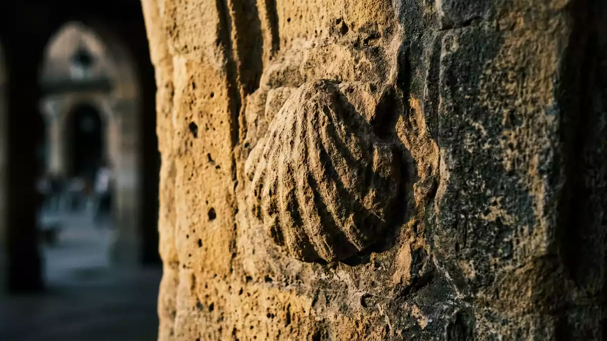 Makroaufnahme eines Materialdetails am Wahrzeichen Plaza Mayor Salamanca, Salamanca Spanien