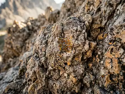Extreme Makroaufnahme eines Materialdetails am Wahrzeichen Dolomiten in Cortina d'Ampezzo Italien, taktile Struktur und weiches - Foto: THN