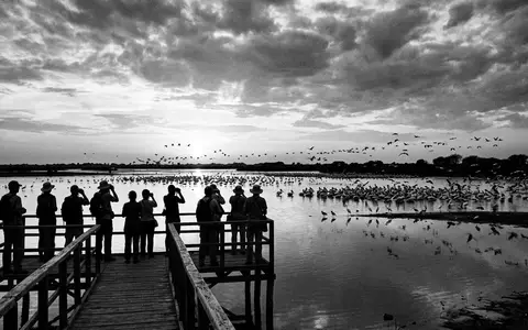 Schwarzweiss-Reportagebild vom Wahrzeichen Djoudj-Vogelschutzgebiet in Saint-Louis Senegal, dokumentarische Reisefotografie mit starken Kontrasten - Foto: THN