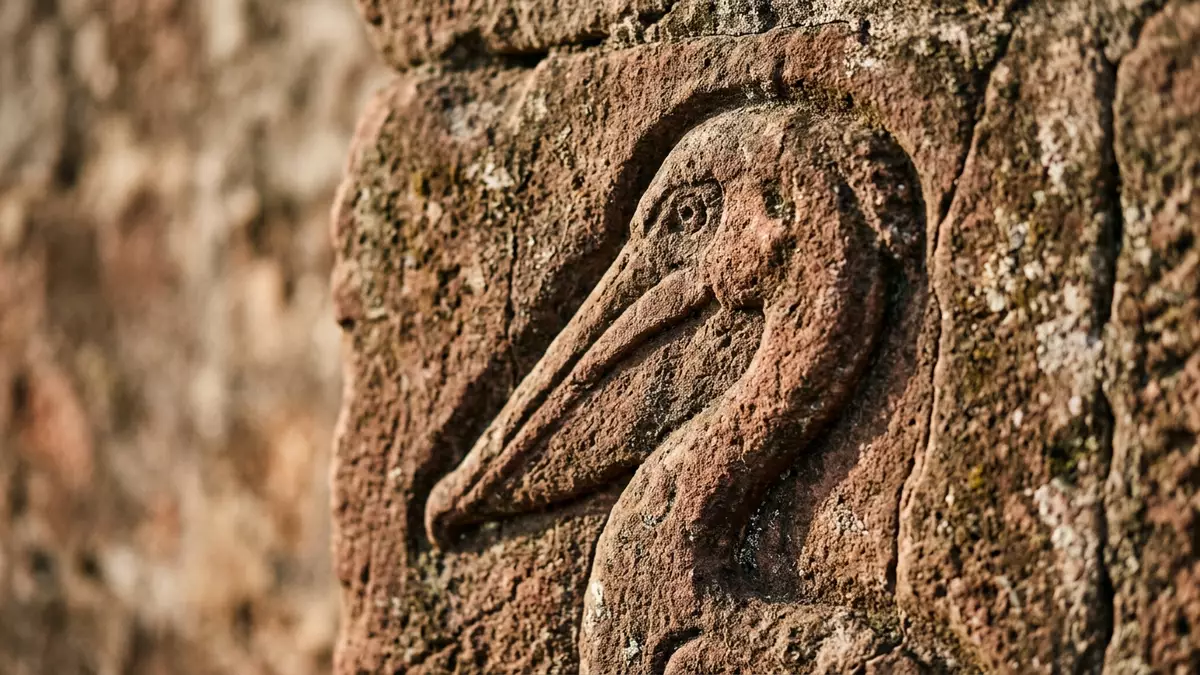 Makroaufnahme eines Materialdetails am Wahrzeichen Djoudj-Vogelschutzgebiet, Saint-Louis Sen…