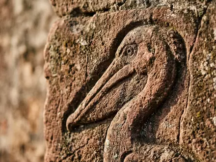 Extreme Makroaufnahme eines Materialdetails am Wahrzeichen Djoudj-Vogelschutzgebiet in Saint-Louis Senegal, taktile Struktur und weiches Seitenlicht - Foto: THN