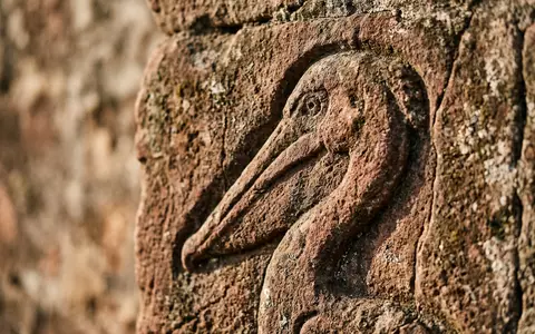 Extreme Makroaufnahme eines Materialdetails am Wahrzeichen Djoudj-Vogelschutzgebiet in Saint-Louis Senegal, taktile Struktur und weiches Seitenlicht - Foto: THN