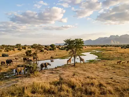 Editorialbild im Reisemagazin-Stil vom Wahrzeichen Waza-Nationalpark in Waza Kamerun, ausgewogene Bildgestaltung und natuerliches Umgebungslicht - Foto: THN