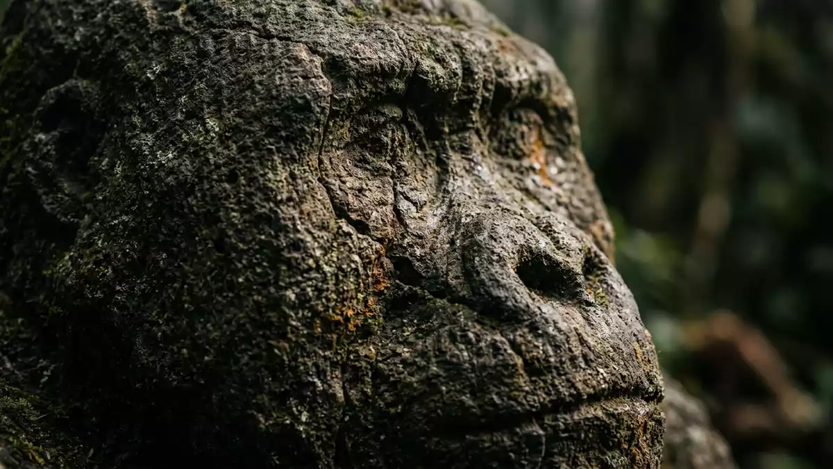Makroaufnahme eines Materialdetails am Wahrzeichen Mgahinga-Gorilla-Trekking, Kisoro Uganda