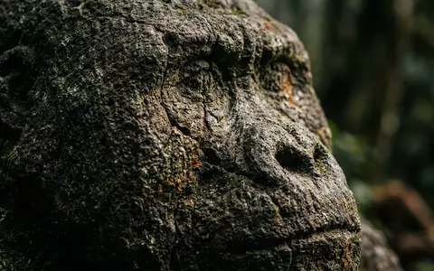 Extreme Makroaufnahme eines Materialdetails am Wahrzeichen Mgahinga-Gorilla-Trekking in Kisoro Uganda, taktile Struktur und weiches Seitenlicht - Foto: THN