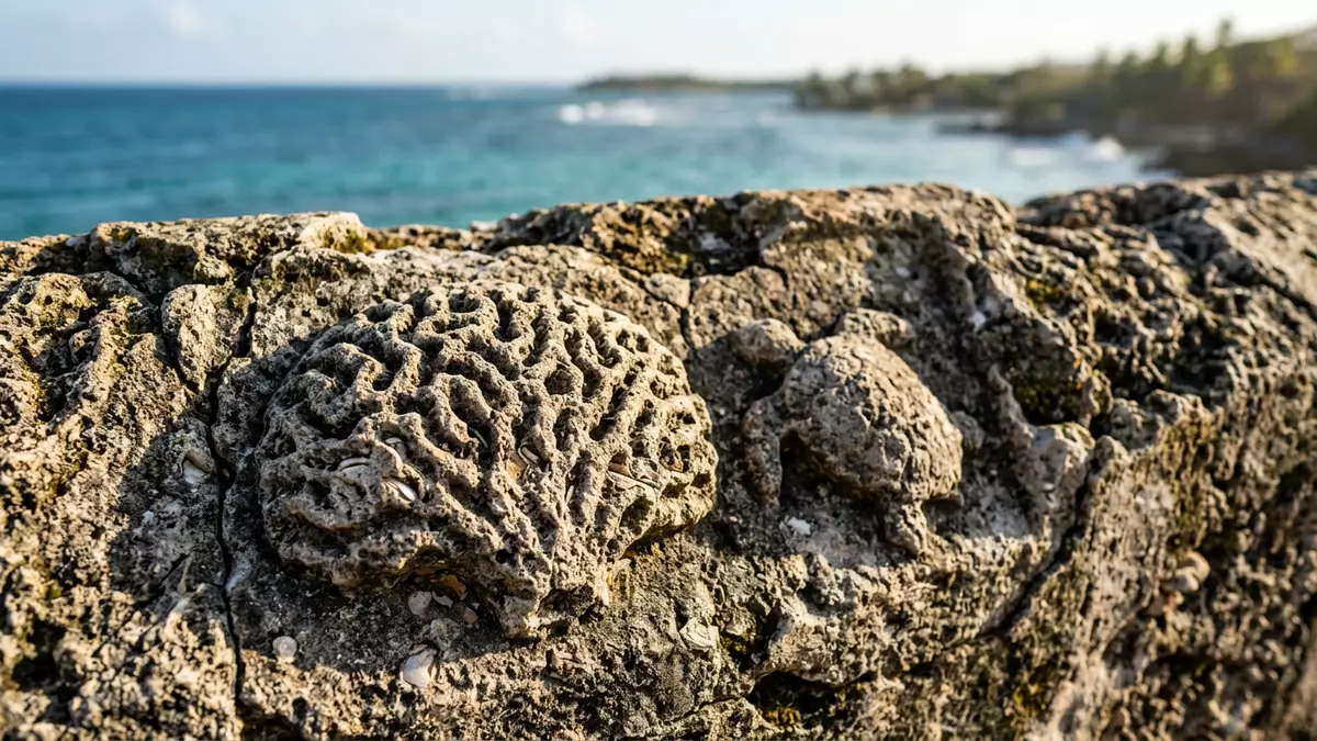 Makroaufnahme eines Materialdetails am Wahrzeichen Rosario-Inseln, Cartagena Kolumbien