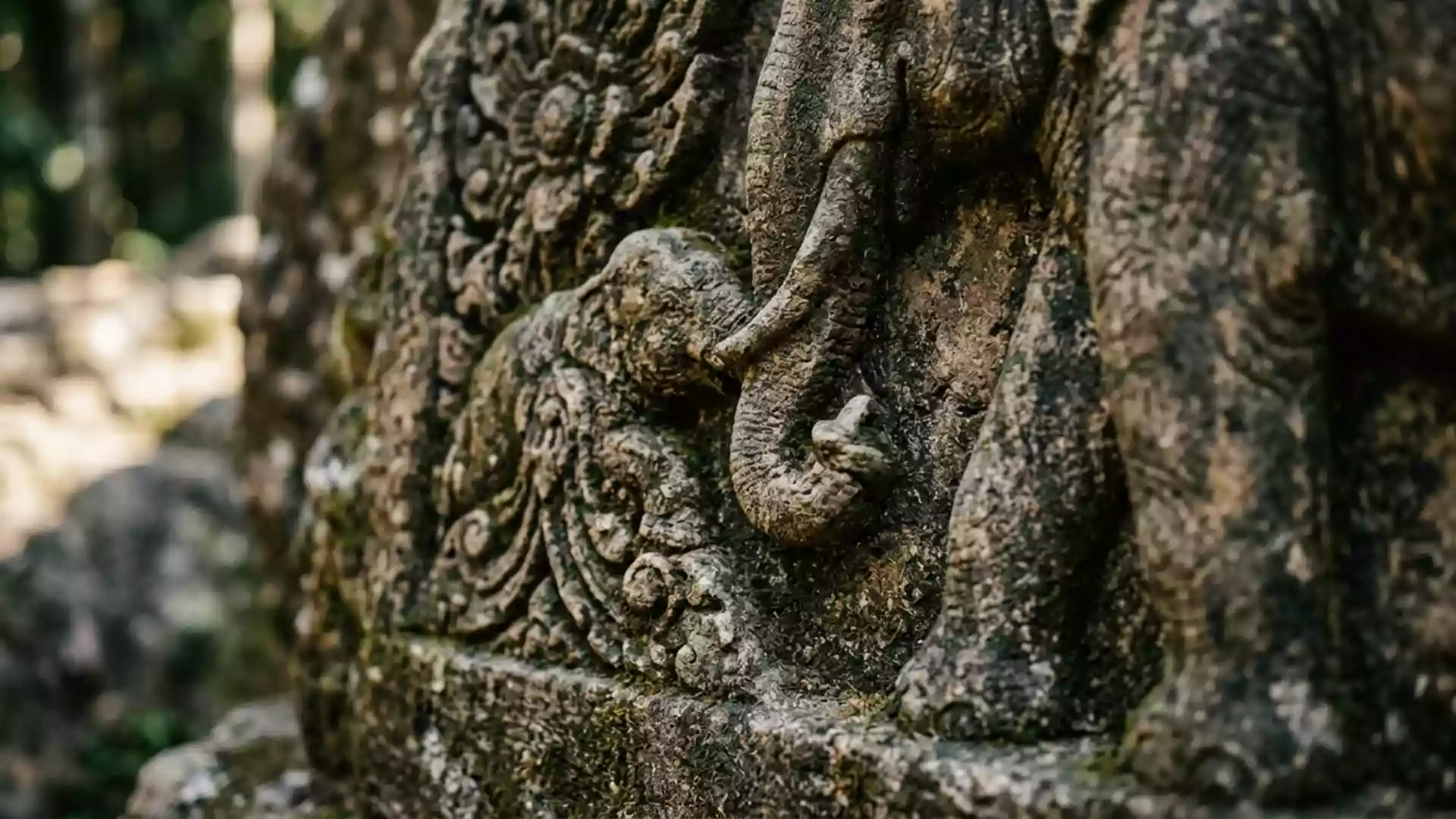 Elephant Nature Park And The Lives Of Rescued Elephants elephant-nature-park-and-the-lives-of-rescued-elephants