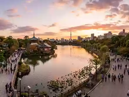 Fotorealistische Panoramaaufnahme von Ueno-Park Tokio in Tokio Japan, warmes Abendlicht auf Wahrzeichen - Foto: THN