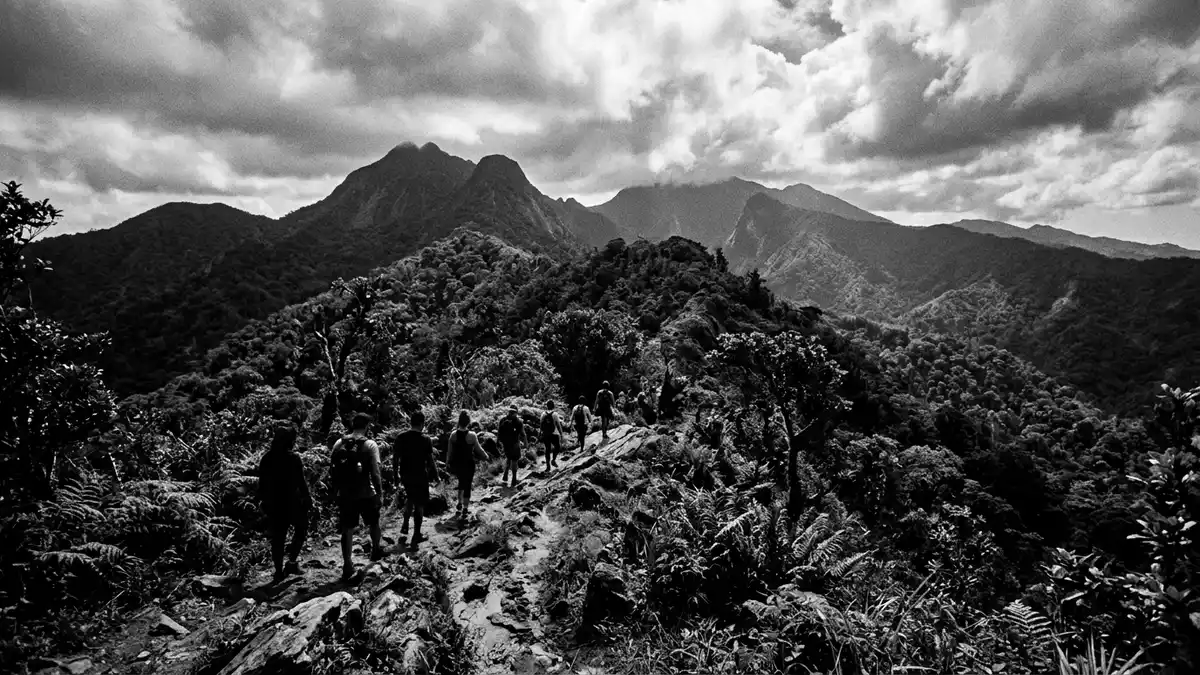 Schwarzweiss-Reportage vom Wahrzeichen El-Yunque-Nationalwald in Rio Grande, Puerto Rico