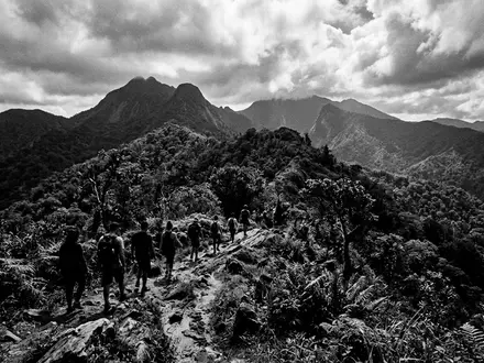Schwarzweiss-Reportagebild vom Wahrzeichen El-Yunque-Nationalwald in Rio Grande Puerto Rico, dokumentarische Reisefotografie mit starken Kontrasten - Foto: THN
