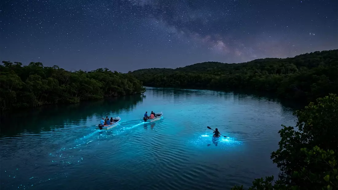 Editorial-Reisemagazinbild vom Wahrzeichen Vieques Biobucht in Vieques, Puerto Rico