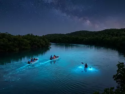 Editorialbild im Reisemagazin-Stil vom Wahrzeichen Vieques Biobucht in Vieques Puerto Rico, ausgewogene Bildgestaltung und natuerliches - Foto: THN